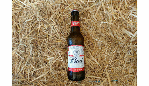 Bud