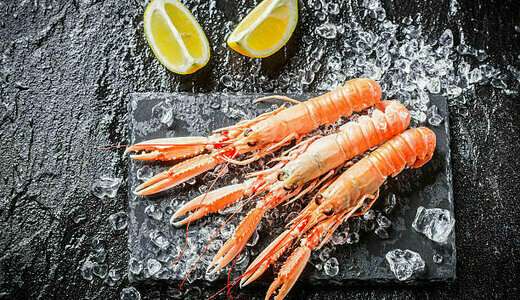 Langoustine grosse