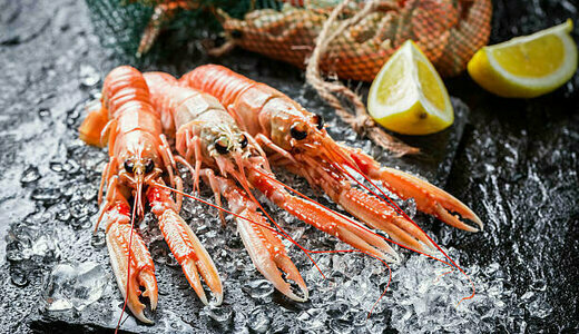 langoustine moyenne