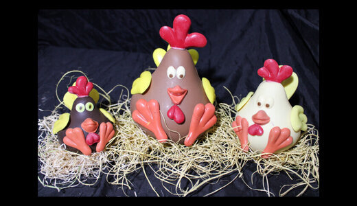 moyenne chicken