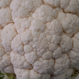 Choux Fleur Choux Fleur