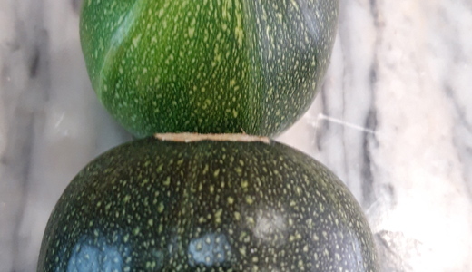 Courgette Ronde